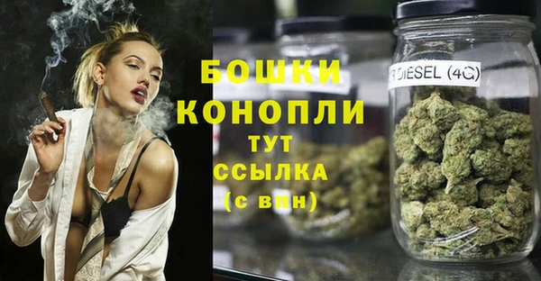 твердый Медногорск