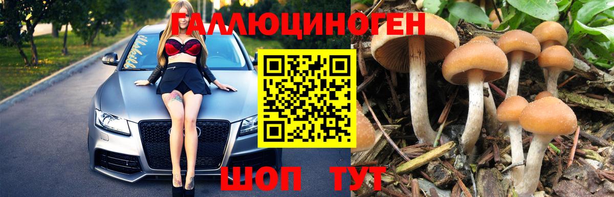 Галлюциногенные грибы мухоморы  Вход с VPN  как найти закладки  Ачинск  Псилоцибиновые грибы мицелий 
