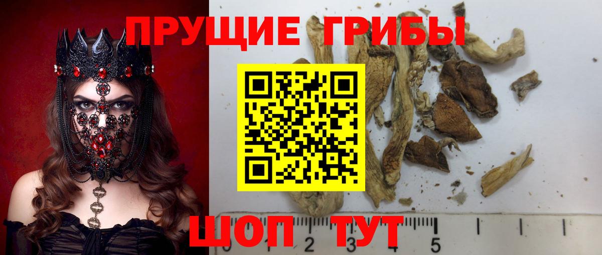 Галлюциногенные грибы GOLDEN TEACHER Ачинск